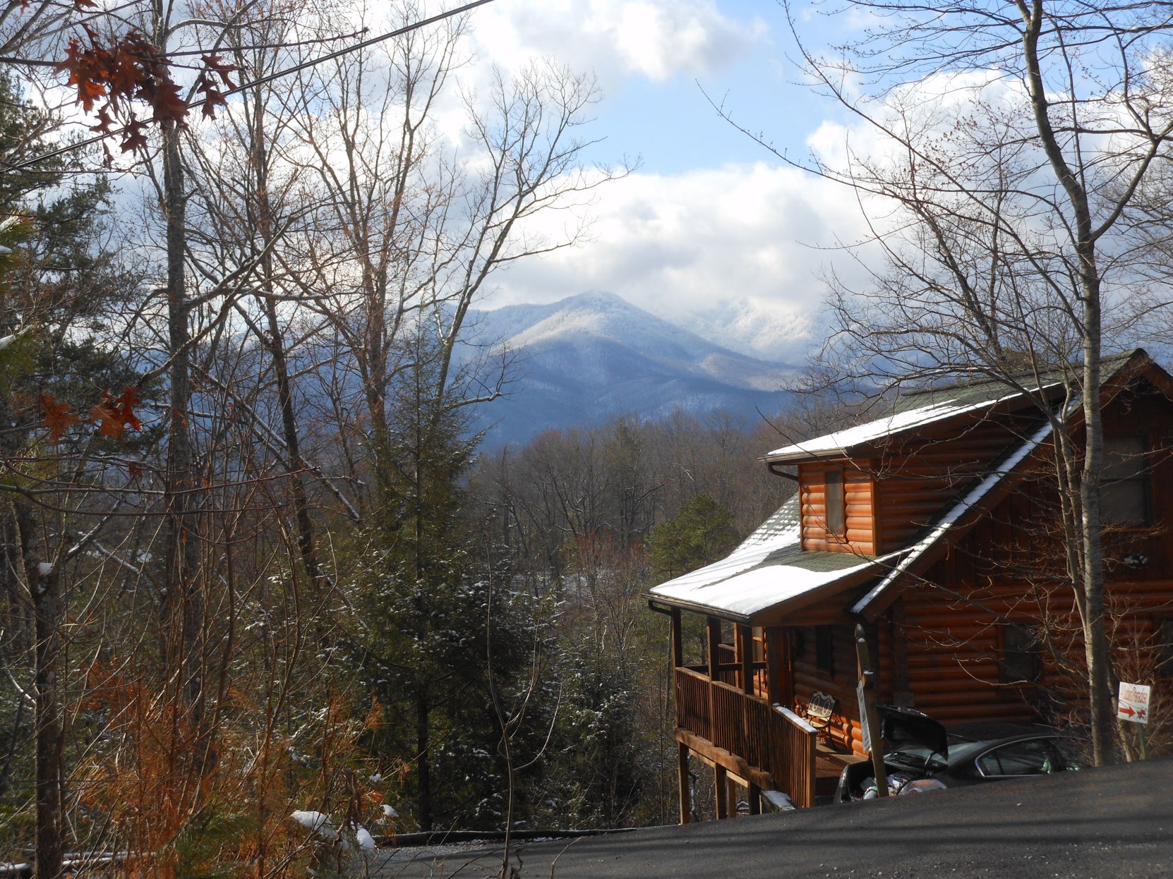 Spring in the Smoky Mountains